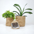 Planter Pot Washable Kraft Paper Flowerpot Creative Desktop Flower Pots Réutilisable Sac de rangement Multifonction 3 tailles